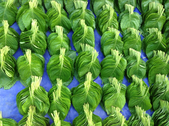 깻잎.jpg