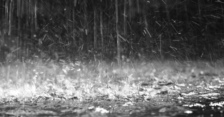 rain_medium.jpg