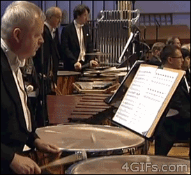 5.gif