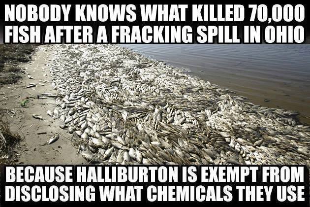 halliburton.jpg