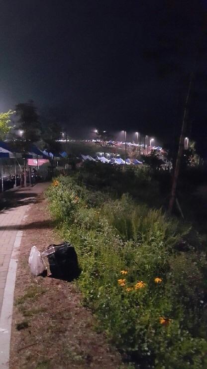 강제출력된 이미지입니다.