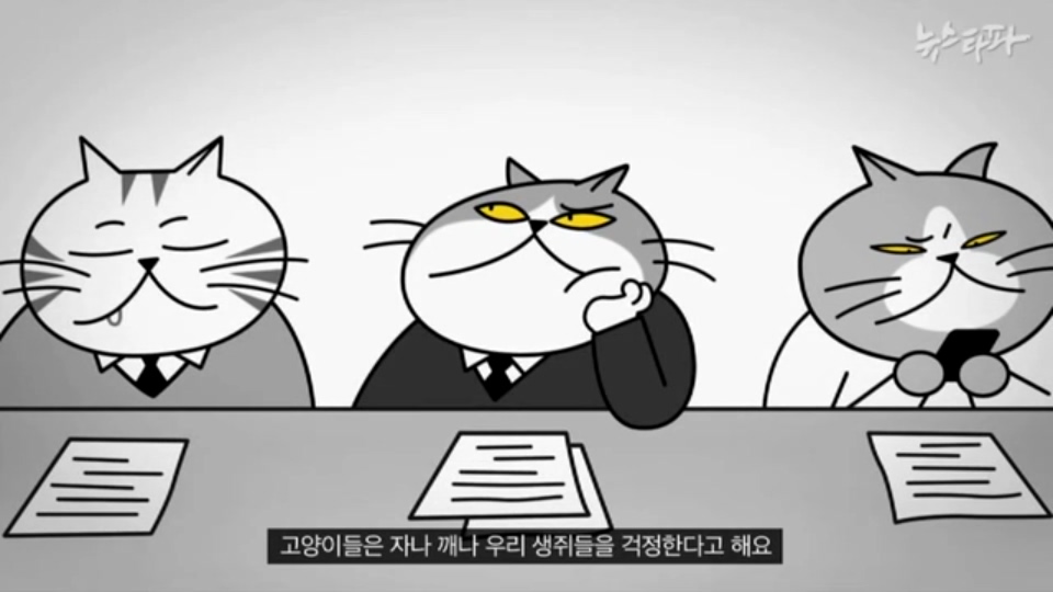 [한국어] 생쥐 나라 주인인 생쥐들이 고양이를 계속 대표로 뽑는 이유.mp4_20160122_195507.921.jpg