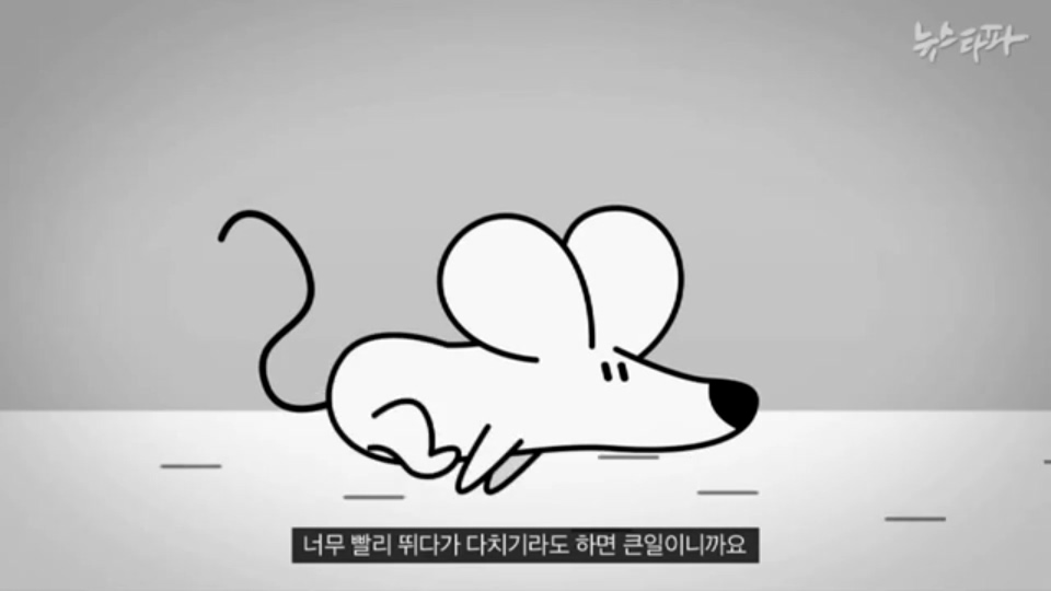 [한국어] 생쥐 나라 주인인 생쥐들이 고양이를 계속 대표로 뽑는 이유.mp4_20160122_195559.812.jpg