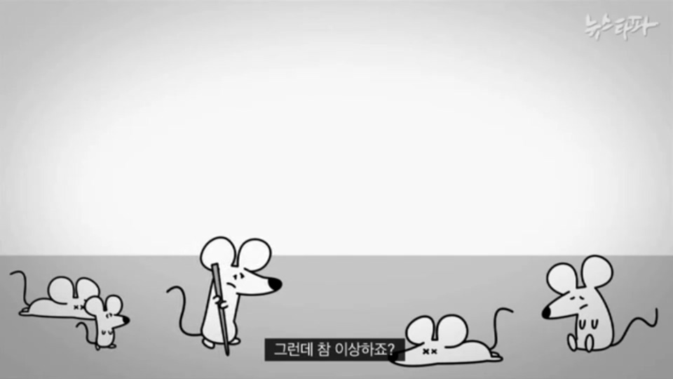 [한국어] 생쥐 나라 주인인 생쥐들이 고양이를 계속 대표로 뽑는 이유.mp4_20160122_195623.875.jpg