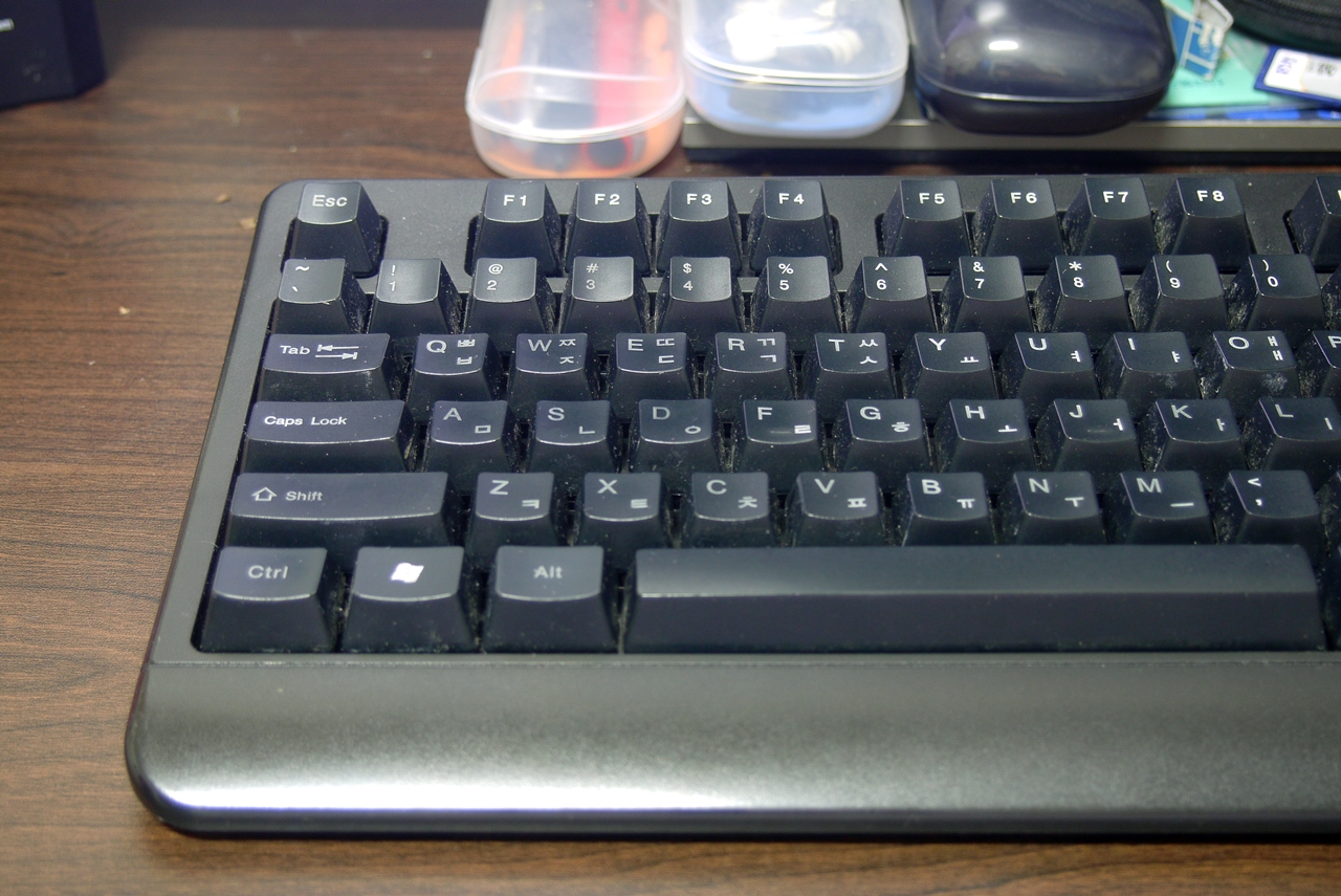 P1030704.JPG