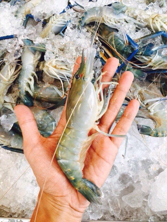 태국의 13000원짜리 씨푸트 뷔페.jpg | 인스티즈