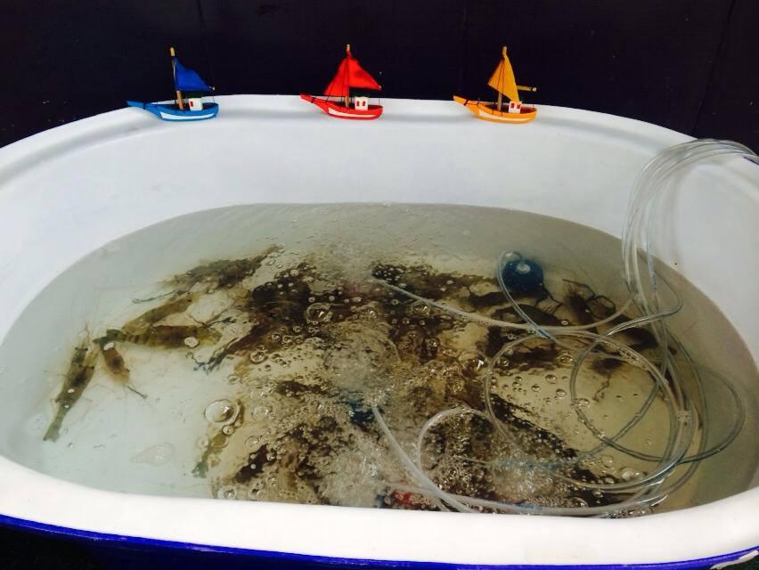 태국의 13000원짜리 씨푸트 뷔페.jpg | 인스티즈