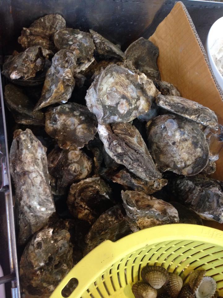 태국의 13000원짜리 씨푸트 뷔페.jpg | 인스티즈