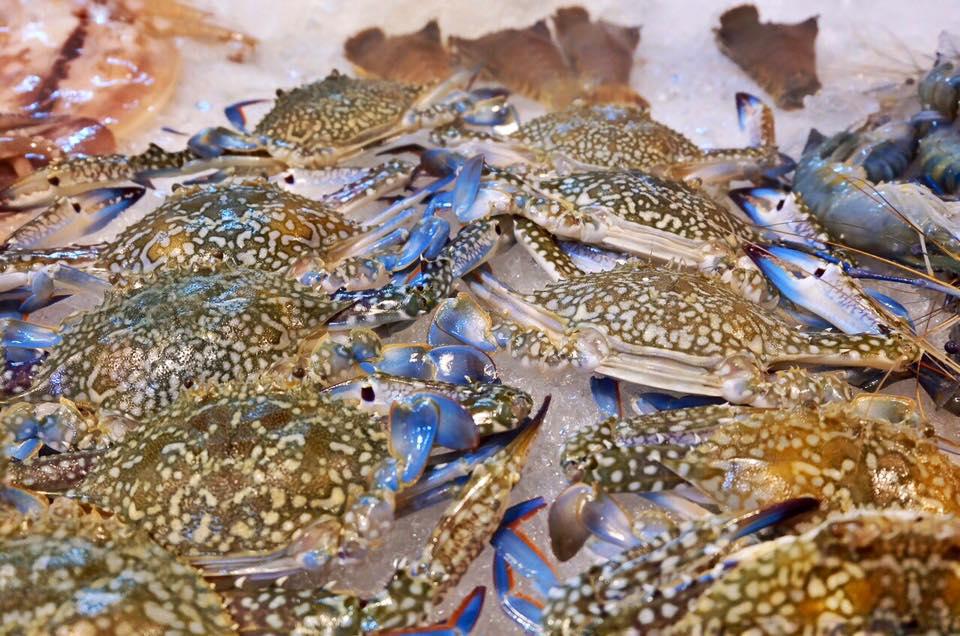 태국의 13000원짜리 씨푸트 뷔페.jpg | 인스티즈