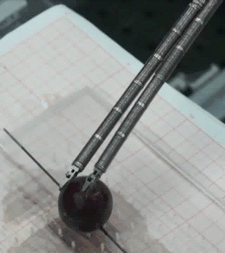 image.gif