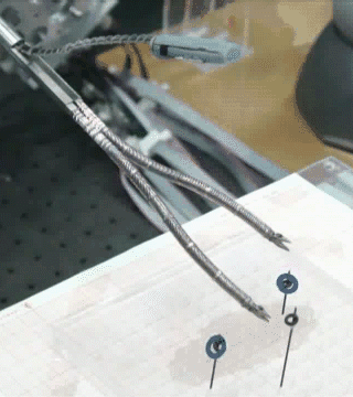 image.gif