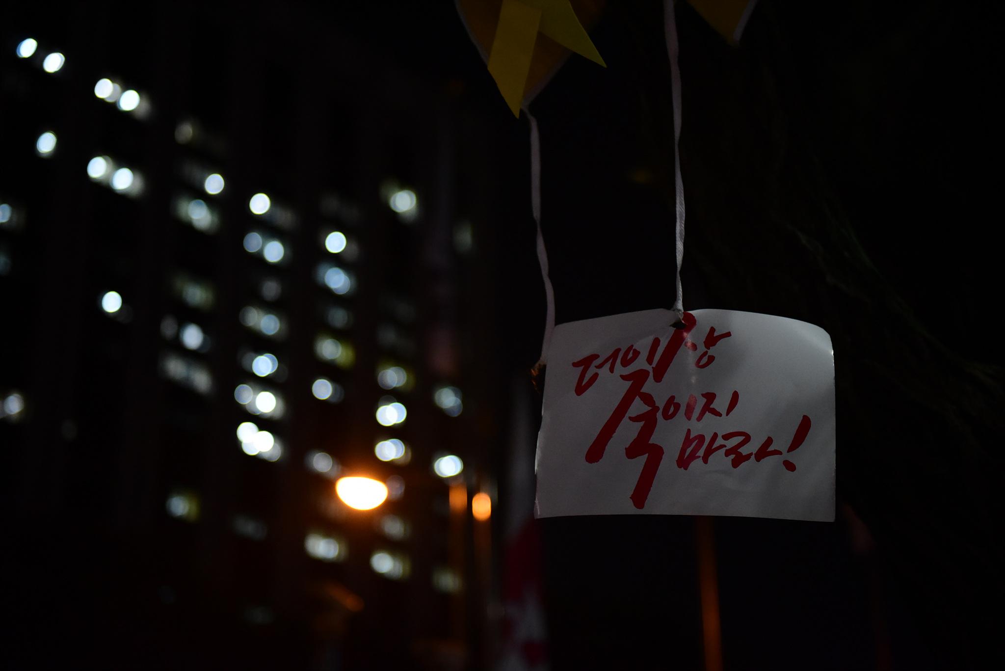 DSC_4676.jpg