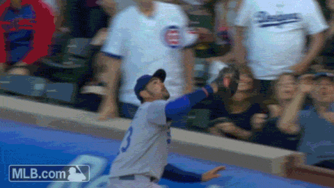 146820768562423_jpg.gif