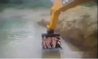 러시안 후룸라이드.gif1