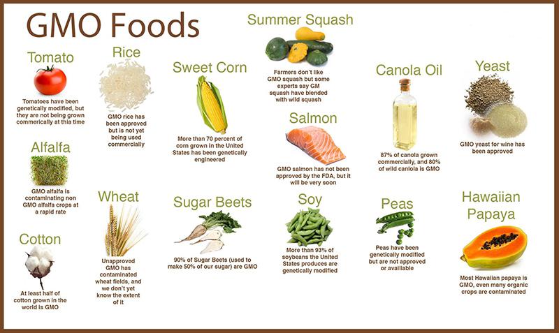 gmo-Foods-Infographic.jpg