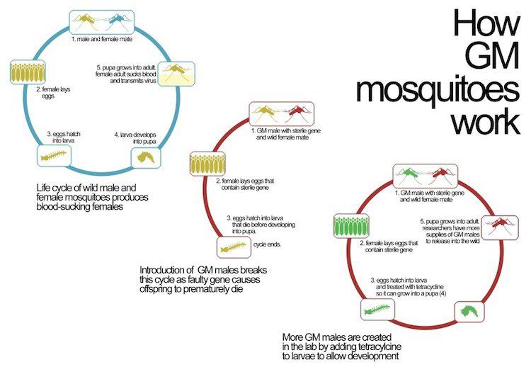 diagram-1024x7171.jpg