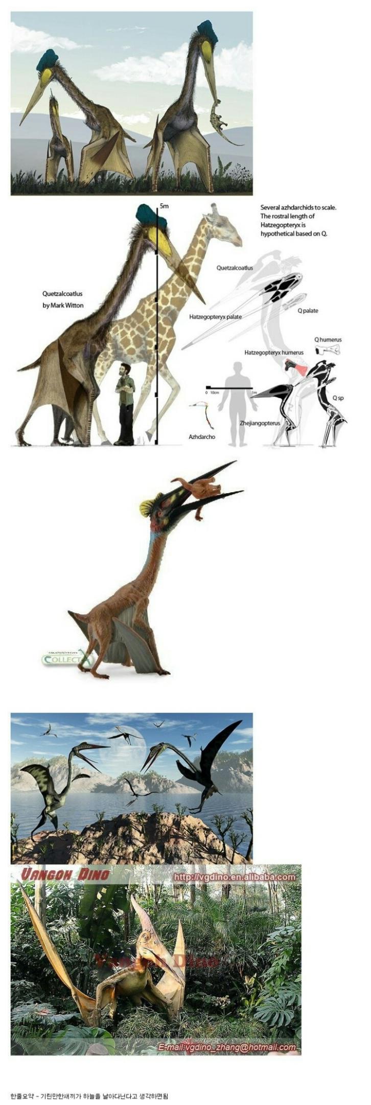 익룡의 실제 크기.jpg | 인스티즈