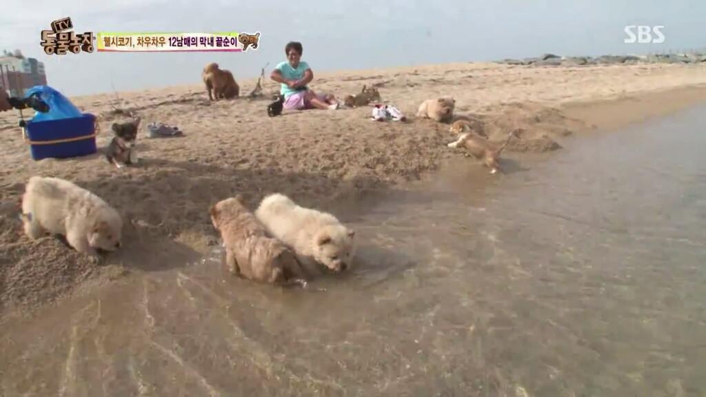 ������µ� �̹����Դϴ�.