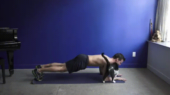 158625c1ce9452738.gif
