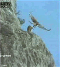 23a8098bb0f4368ab69b978727c63391.gif