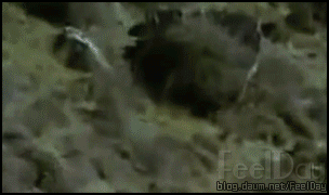 0jljFGS.gif