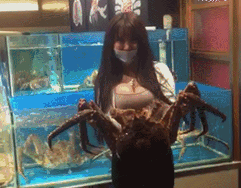4a5e877614578ec00ee001fc9975d2c1_HkCgiLi38ioYsOdDECaCMw9tTFBO.gif