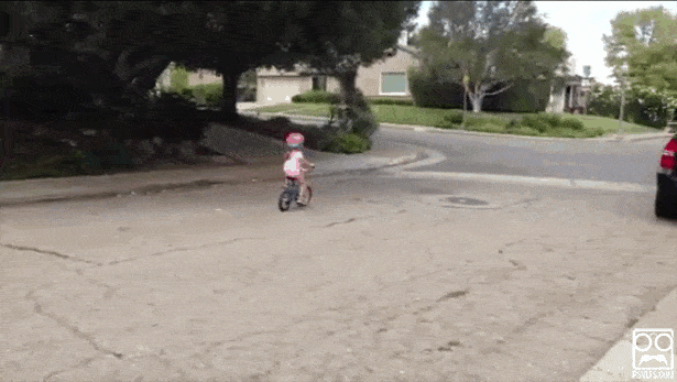 zBpa8fO.gif