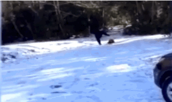 4kAl6tL.gif