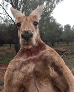 a8d484bdfa049af6227f1e43cda96e01.gif