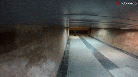 식인거미 몰카.gif3