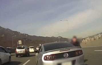 IMG_1940.GIF