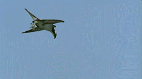 20170204_211459_968578470.gif