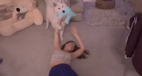 3c7079fcbf6f7cf3f4d9e2945dc53450.gif