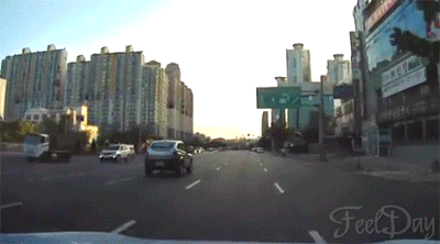 Eww51b5b98cde611.gif