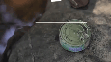 2949501009_GHZd6ow1_1487744724.GIF