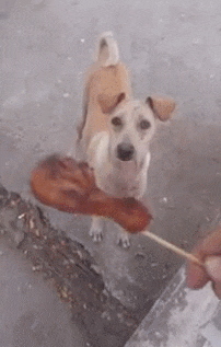 IMG_3359.GIF