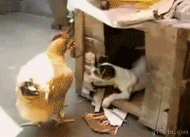 download.gif