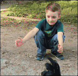 d68c9a3034678110ed2319ade3dbcfdf.gif
