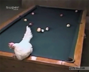 image.gif