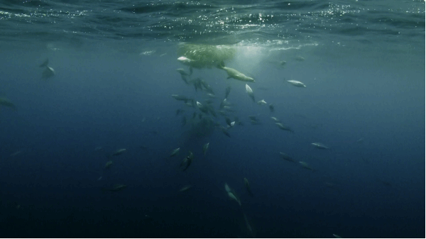 뜻밖의 시리즈 .gif | 인스티즈