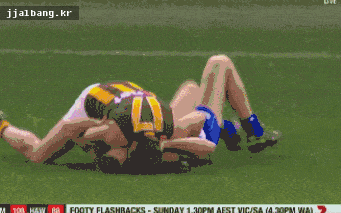 뜻밖의 시리즈 .gif | 인스티즈