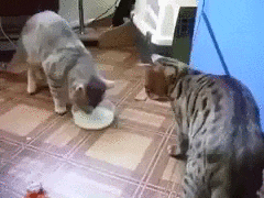 뜻밖의 시리즈 .gif | 인스티즈